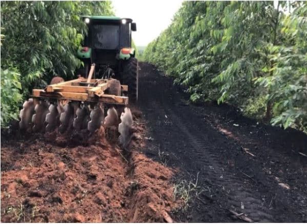 An image of Aperam BioEnergia Biochar - Brazil